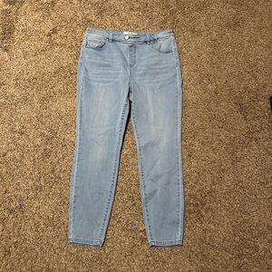 NIC+ZOE Light Blue Skinny Jeans